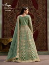 Aanaya Vol 209 By Dani Creation Net Gown With Dupatta